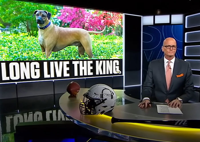 Heartfelt Tribute To Family Dog Who&rsquo;d Passed Away Has Touched Thousands