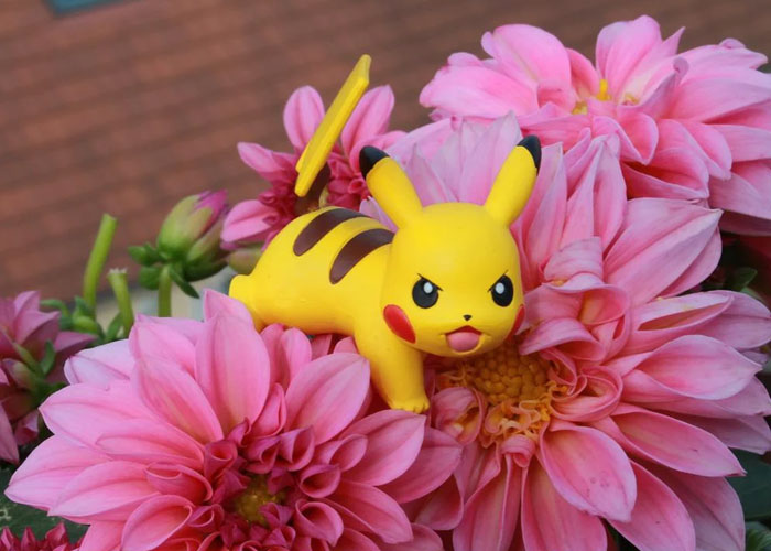 20 Cosas delirantes y completamente fuera de lugar que la gente ha oído decir a otros (nuevas respuestas)