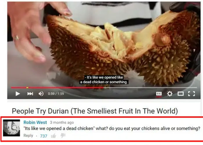 Insane-Youtube-Comments