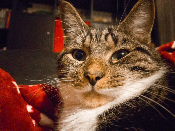 30 Crazy And Unexpected Things People In This Online Community Heard When Someone Forgot To End The Call