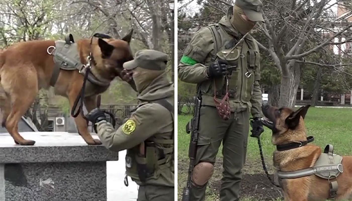 Dog Abandoned By Russian Troops Finds New Owners Within The Ukrainian Army