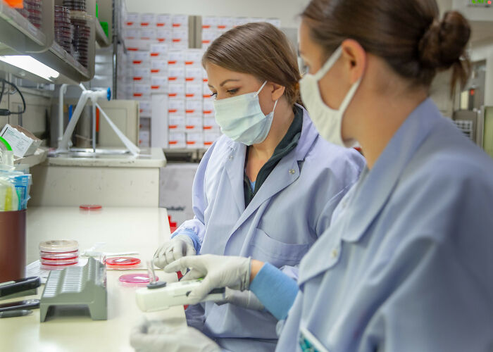 Someone Asked “What’s The Easiest, Legal Way To Make Money On The Side?”, And 30 People Delivered