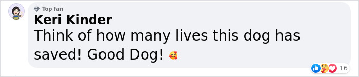 Hero Pup Patron Awarded Medal By Ukrainian President Zelensky For Sniffing Out Over 250 Bombs And Munitions Hero Pup Patron Awarded Medal By Ukrainian President Zelensky For Sniffing Out Over 250 Bombs And Munitions