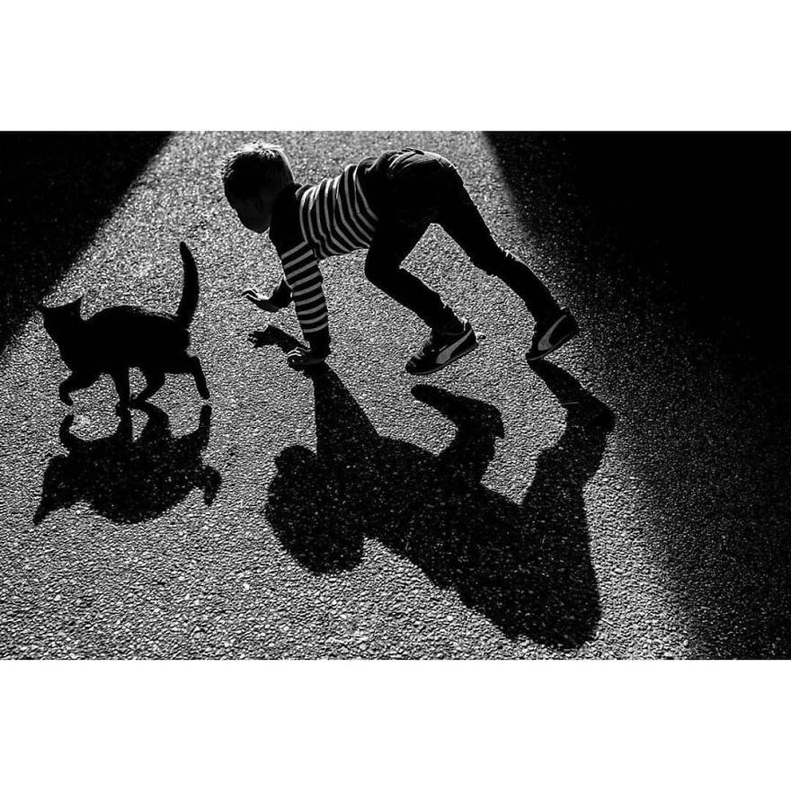 Here Are 62 Powerful Animal Images From Instagram "The Decisive Moments Magazine"