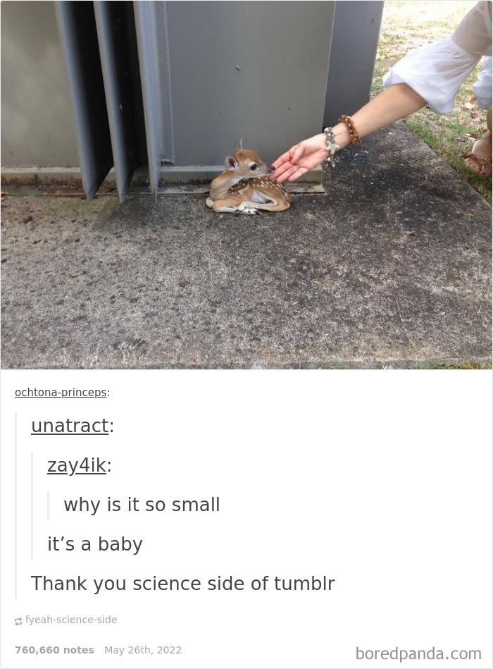 Weird-Side-Of-Tumblr-Posts