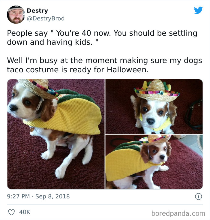 Funny-Child-Free-Humor