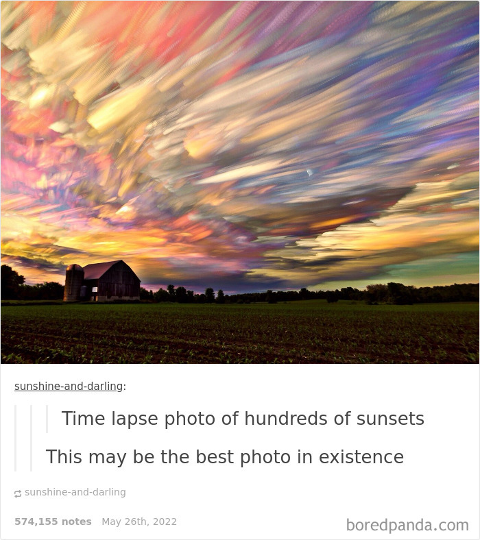 Weird-Side-Of-Tumblr-Posts