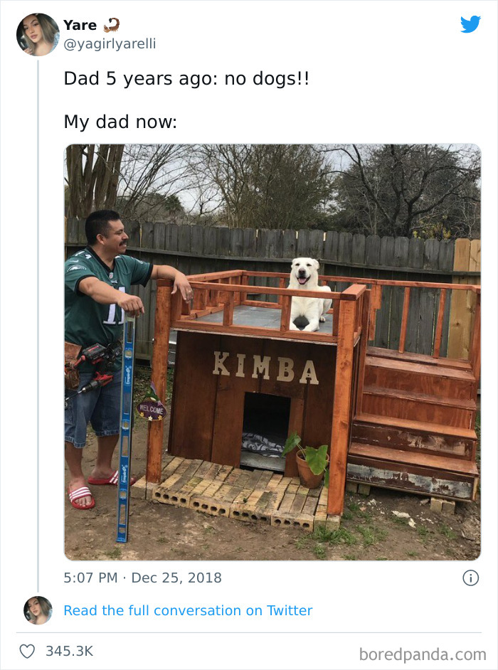 Man proudly stands by custom wooden dog house with happy dog inside, showing why dogs are better than cats.