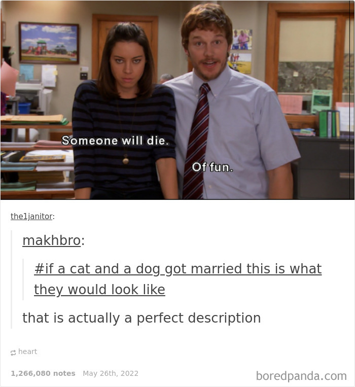 Weird-Side-Of-Tumblr-Posts