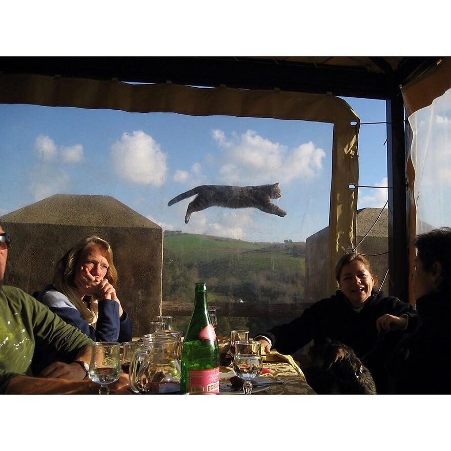 Here Are 62 Powerful Animal Images From Instagram "The Decisive Moments Magazine"