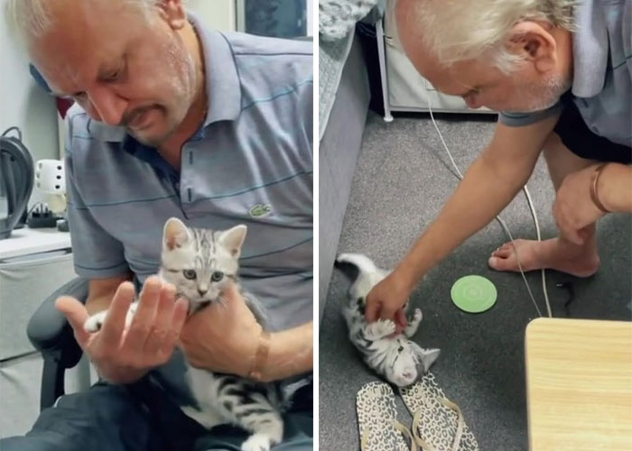 Dad Who Dislikes Cats Became Obsessed With The One His Son Brought Home, Now They&rsquo;re Inseparable