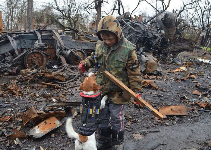 Hero Pup Patron Awarded Medal By Ukrainian President Zelensky For Sniffing Out Over 250 Bombs And Munitions Hero Pup Patron Awarded Medal By Ukrainian President Zelensky For Sniffing Out Over 250 Bombs And Munitions