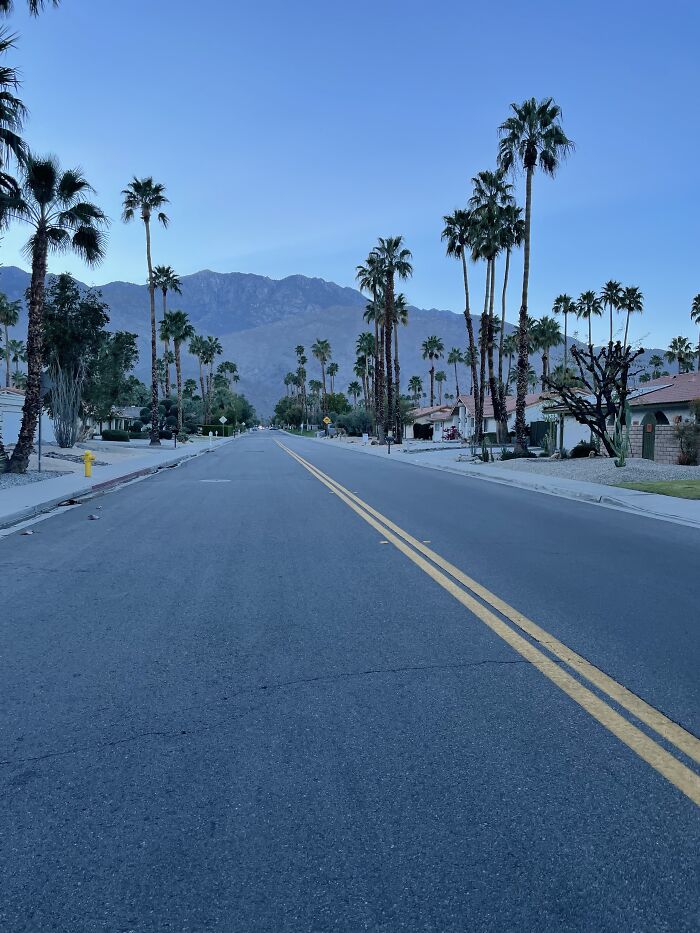 New Pictures That I Took (37 Pics)