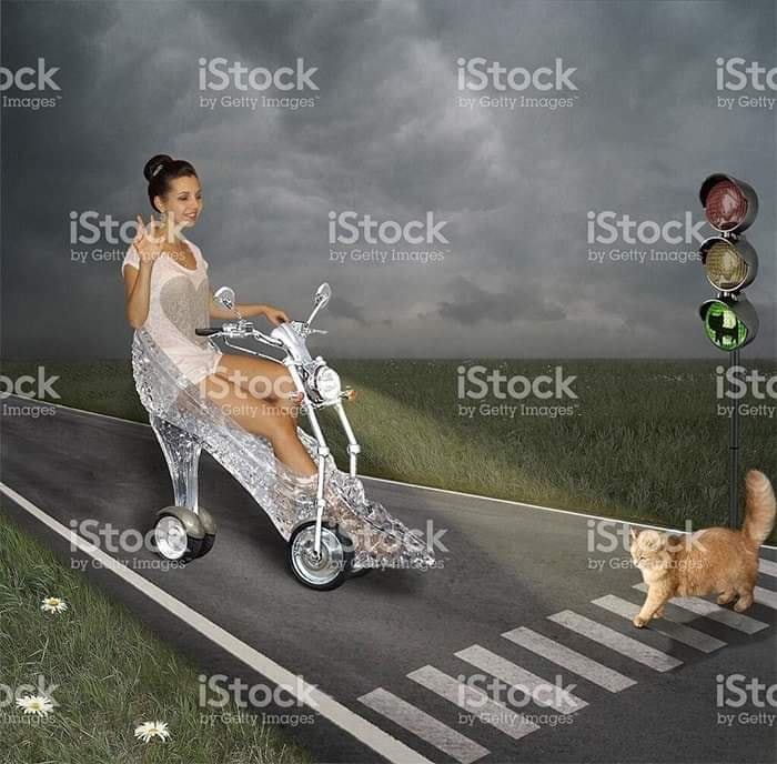 Woman riding a transparent bicycle on a road, with a cat crossing at a traffic light; a weird stock image.
