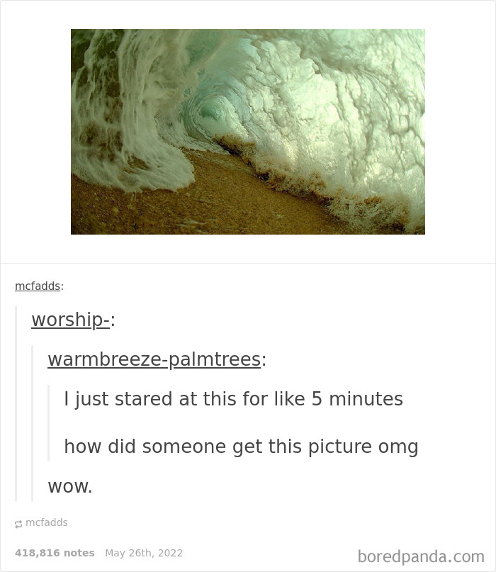 Weird-Side-Of-Tumblr-Posts