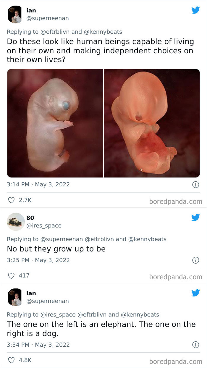 Elizabeth-Warren-Roe-Wade-Abortion-Rights-Law-Reactions