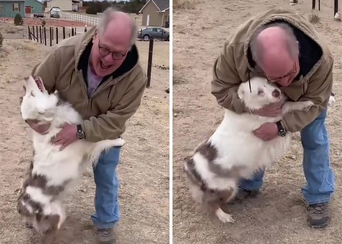 Grandpa’s Worries About Dog Not Recognizing Him After A Year Apart Disappear As Excited Dog Rushes To Him Grandpa’s Worries About Dog Not Recognizing Him After A Year Apart Disappear As Excited Dog Rushes To Him