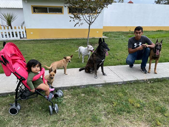 This Dog Was Found Extremely Malnourished, A Few Months Later He’s Unrecognizable As He Recovers And Then Finds A Forever Home - 14