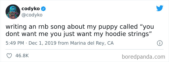 Funny-Cat-Dog-Tweets