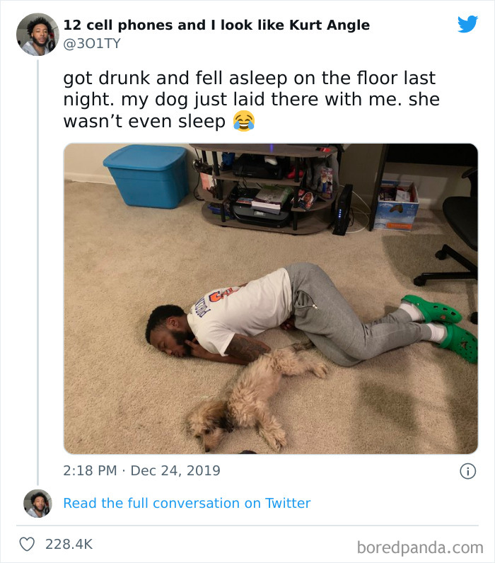 Funny-Cat-Dog-Tweets