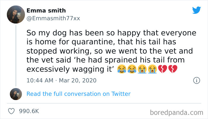 Funny-Cat-Dog-Tweets