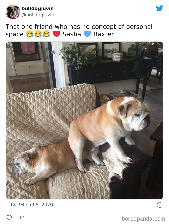 Totally Understandable