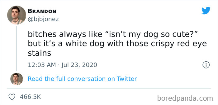 Funny-Cat-Dog-Tweets