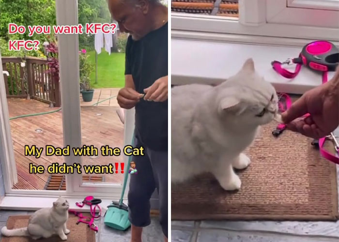 Dad Who Dislikes Cats Became Obsessed With The One His Son Brought Home, Now They&rsquo;re Inseparable