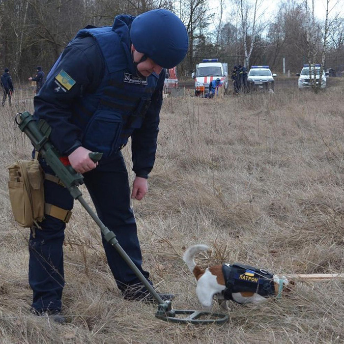 Hero Pup Patron Awarded Medal By Ukrainian President Zelensky For Sniffing Out Over 250 Bombs And Munitions Hero Pup Patron Awarded Medal By Ukrainian President Zelensky For Sniffing Out Over 250 Bombs And Munitions