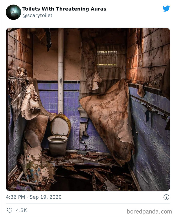 Cursed-Scary-Toilets