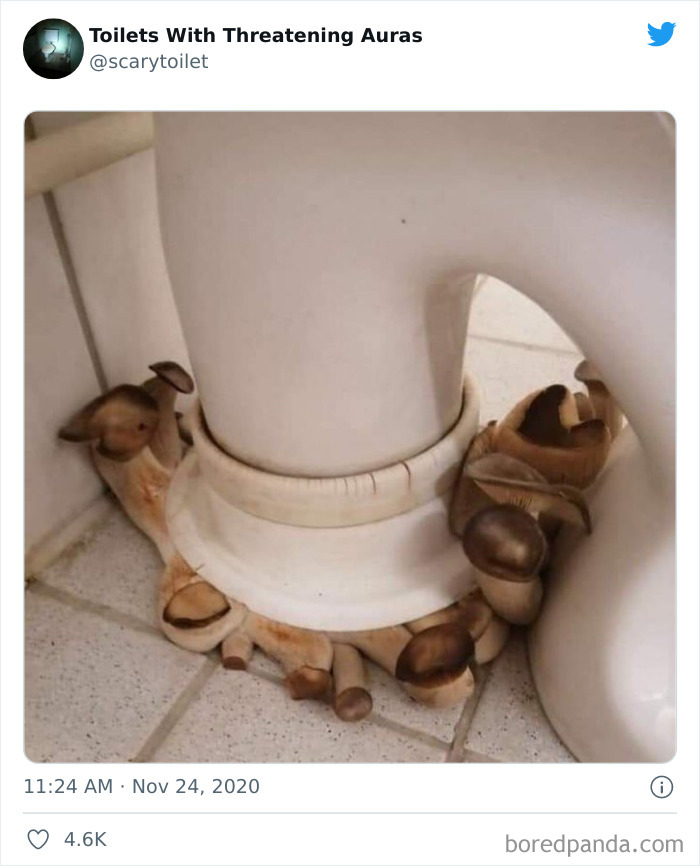 Cursed-Scary-Toilets