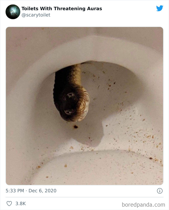 Cursed-Scary-Toilets