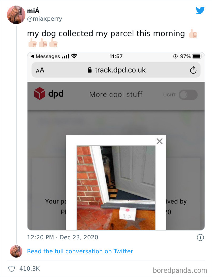 Funny-Cat-Dog-Tweets