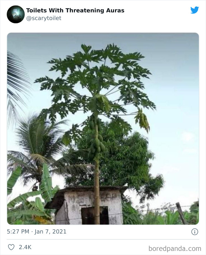 Cursed-Scary-Toilets