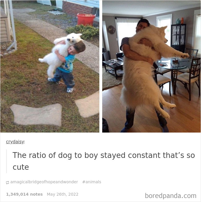 Weird-Side-Of-Tumblr-Posts