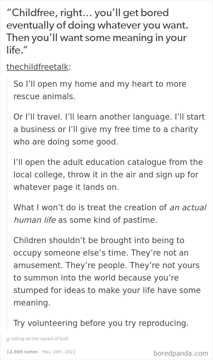 Funny-Child-Free-Humor