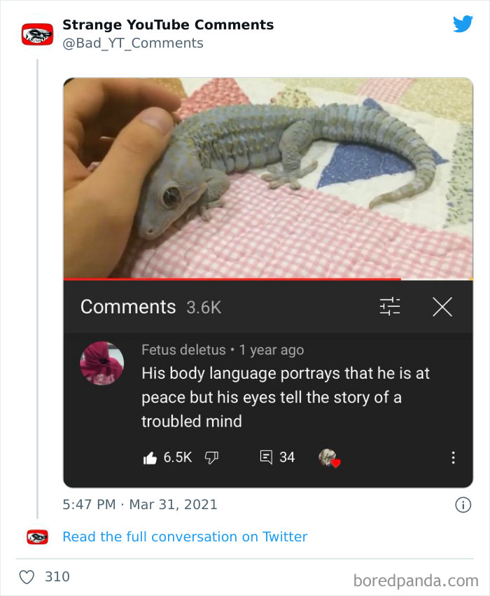 Insane-Youtube-Comments