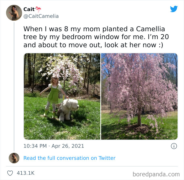 Unexpected-Wholesome-Situations