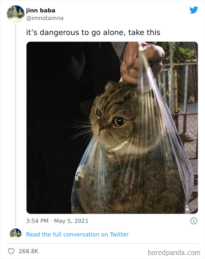 Funny-Cat-Dog-Tweets