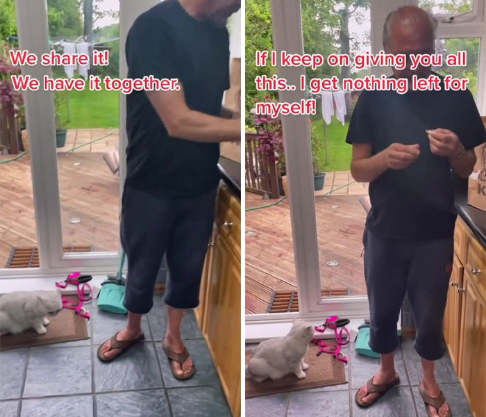 Dad Who Dislikes Cats Became Obsessed With The One His Son Brought Home, Now They&rsquo;re Inseparable