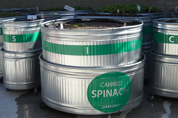 30 Of The Worst Beliefs About Cooking People Have Been Taught By Their Parents, As Shared On This Online Thread