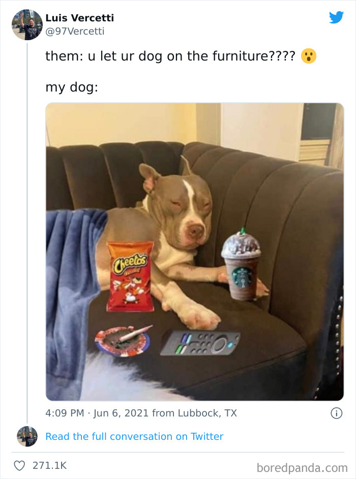 Funny-Cat-Dog-Tweets