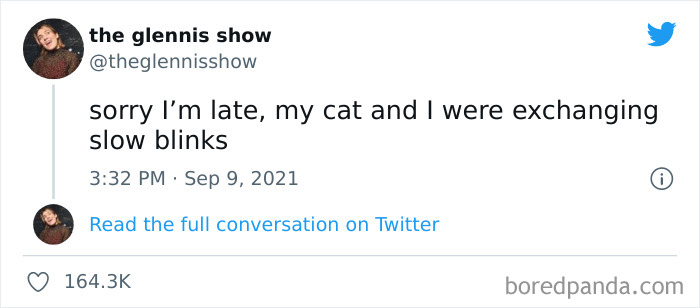 Funny-Cat-Dog-Tweets