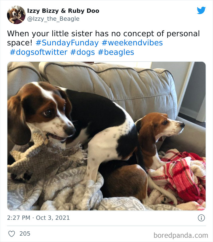 A Little Sister Dominating Big Sister