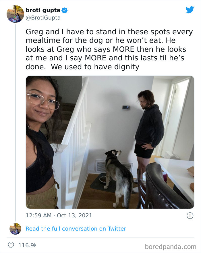 Funny-Cat-Dog-Tweets