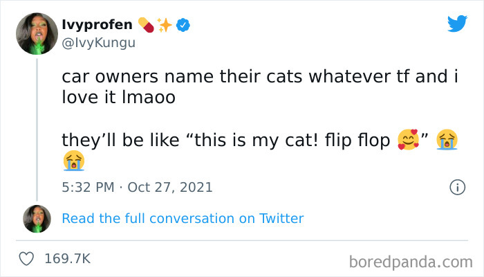 Funny-Cat-Dog-Tweets