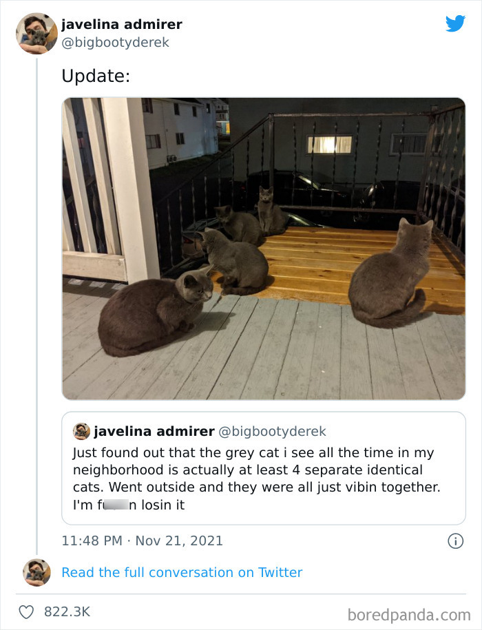 Funny-Cat-Dog-Tweets