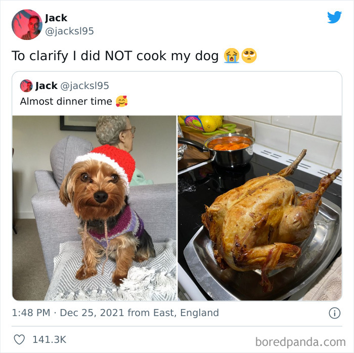 Funny-Cat-Dog-Tweets