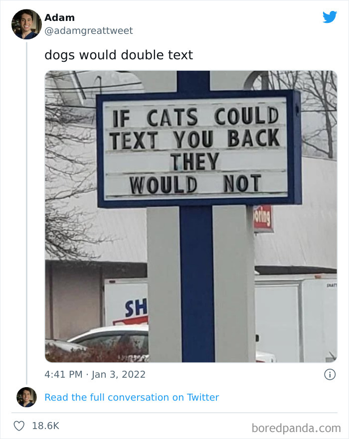 Funny-Cat-Dog-Tweets