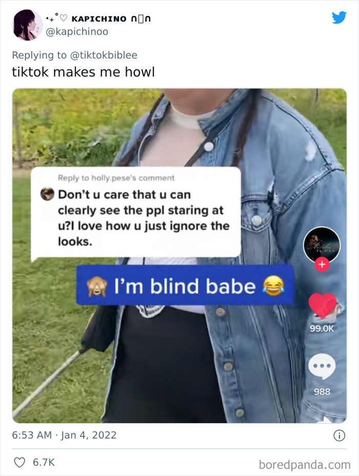 Funny-Tiktok-Screenshots